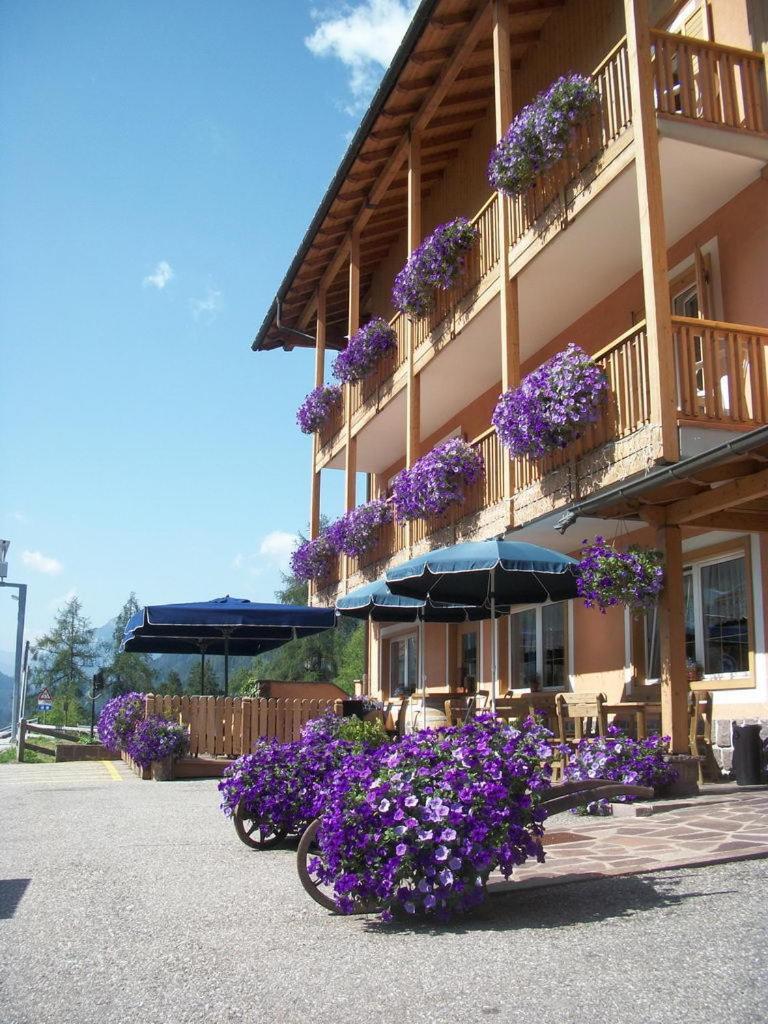 Hotel Vallechiara Moena Bagian luar foto